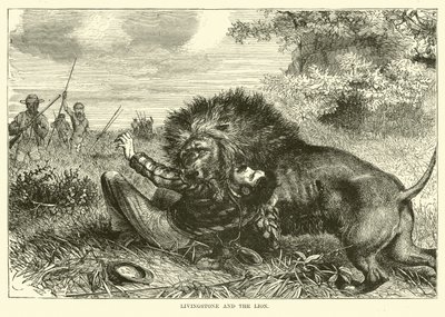 Livingstone and the Lion by English School