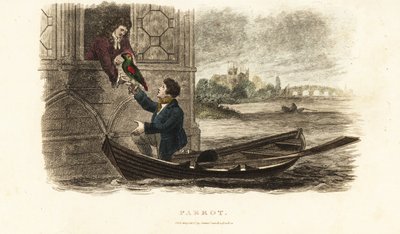 London boatman saving a talking parrot belonging to King Henry VIII of England by English School