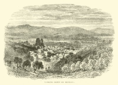 Looking Down on Bethany by English School
