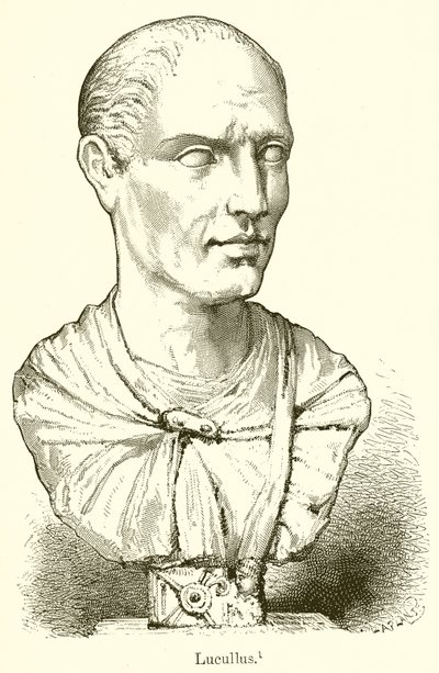 Lucullus by English School