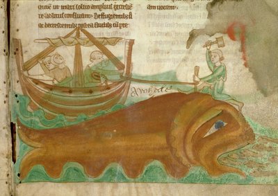 A Whale with a Sailor Hammering a Stake into its Head, detail from an English Bestiary, early 13th century by English School