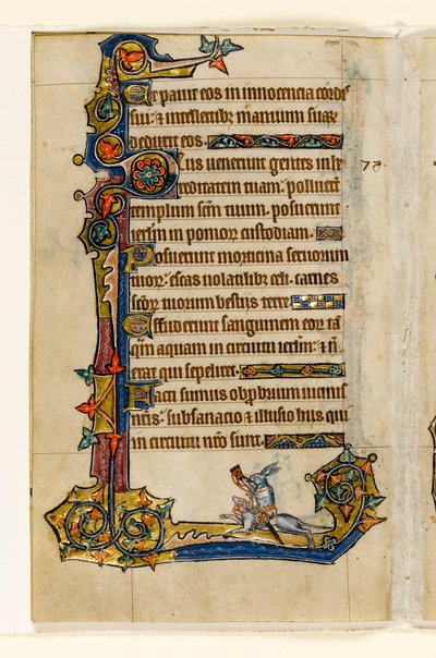 A Rabbit Riding a Hound, Hunting, Marginal Decoration from the Macclesfield Psalter, Use of Sarum, East Anglia (c.1330) by English School