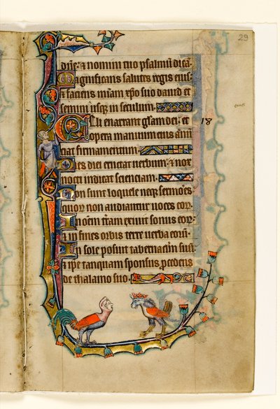 Two Bird-like Grotesques, Marginal Decoration from the Macclesfield Psalter, Use of Sarum, East Anglia (c.1330) by English School