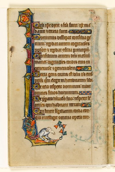 A Grotesque, Marginal Decoration from the Macclesfield Psalter, Use of Sarum, East Anglia (c.1330) by English School