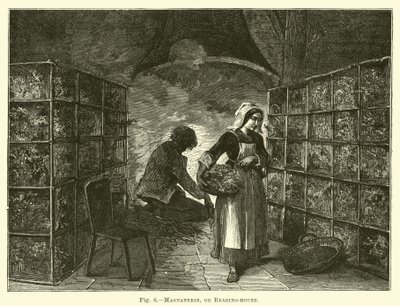 Magnanerie, or Rearing-house by English School