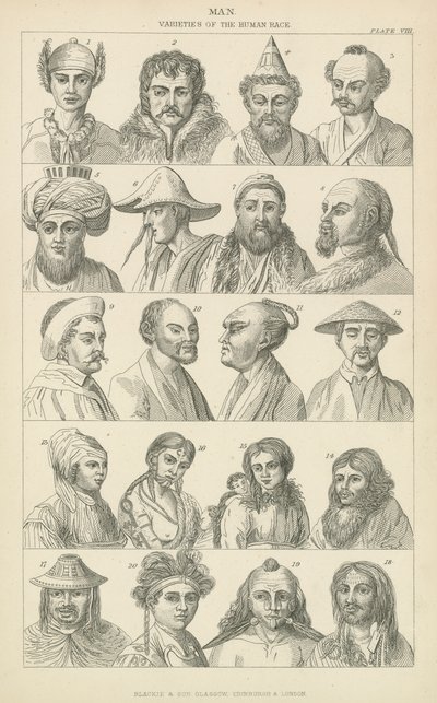 Man. Varieties of the human race by English School