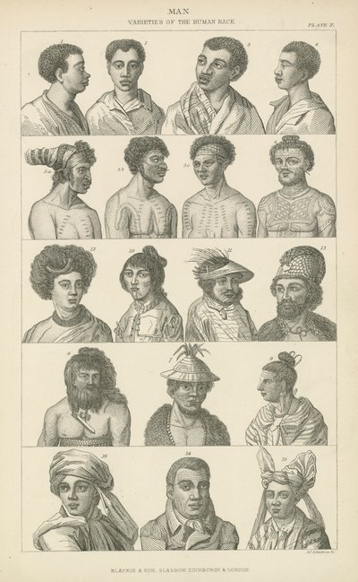 Man. Varieties of the human race by English School