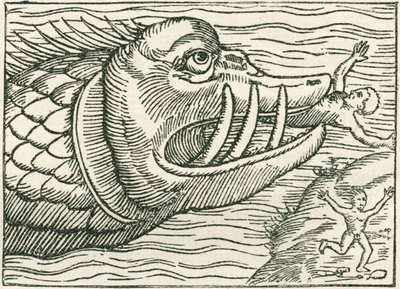 Man being eaten by a sea serpent (Illustration on the margin of a map by Olaus Magnus) by English School