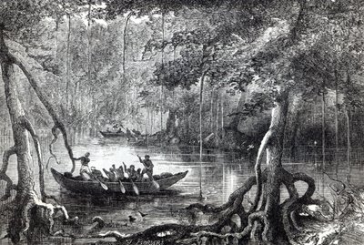 Mangrove Forest, frontispiece illustration from 
