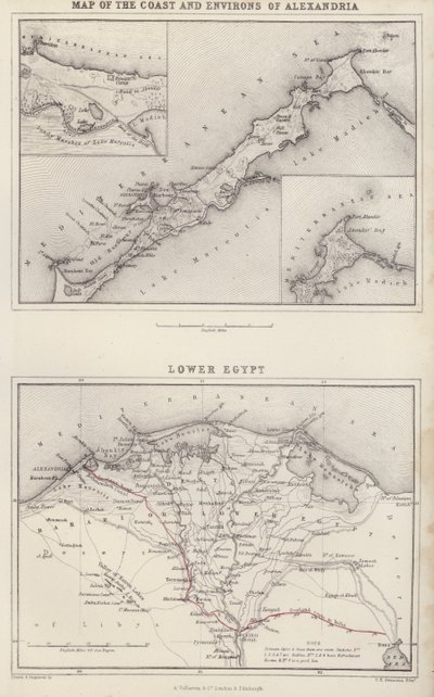 Map of the Coast and Environs of Alexandria; Lower Egypt by English School