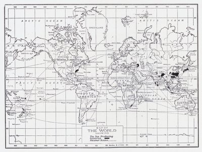 Map of the world showing the tea producing countries by English School