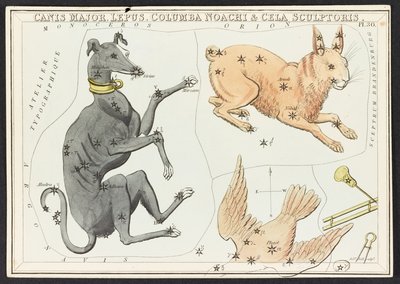 Canis Major Lepus, from 