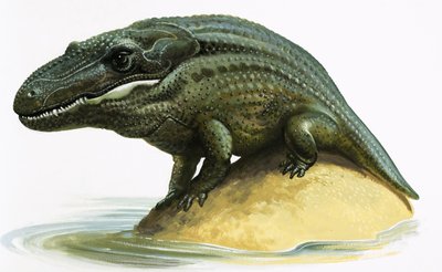 Mastodosaurus by English School