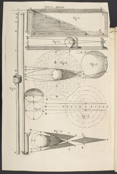 Micrographia, or Some Physiological Descriptions of Minute Bodies Made by Magnifying Glasses, with Observations and Inquiries Thereupon by English School