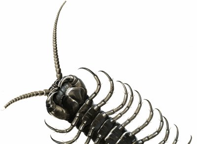 Millipede by English School
