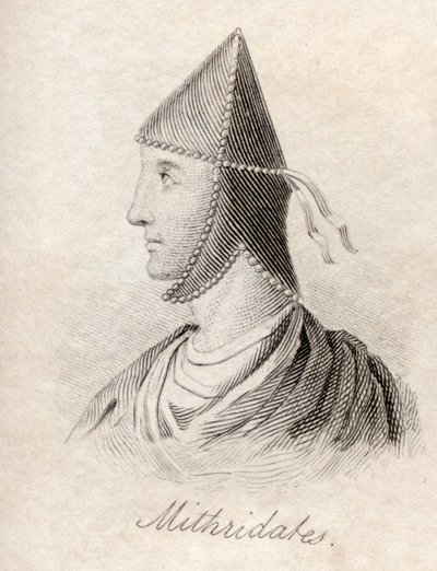 Mithridates VI (from 