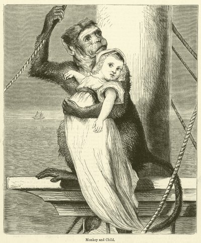 Monkey and Child by English School
