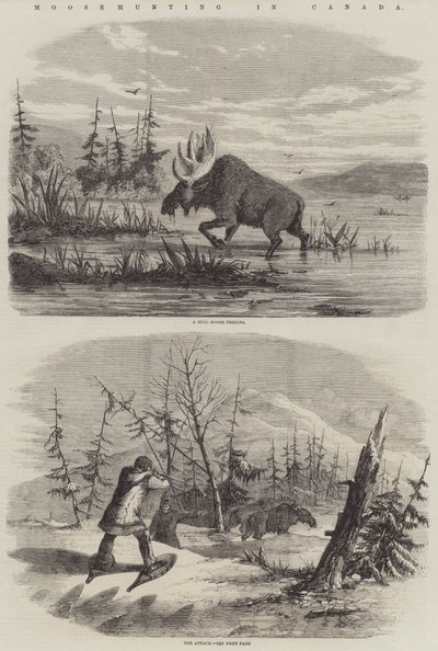 Moose Hunting in Canada by English School