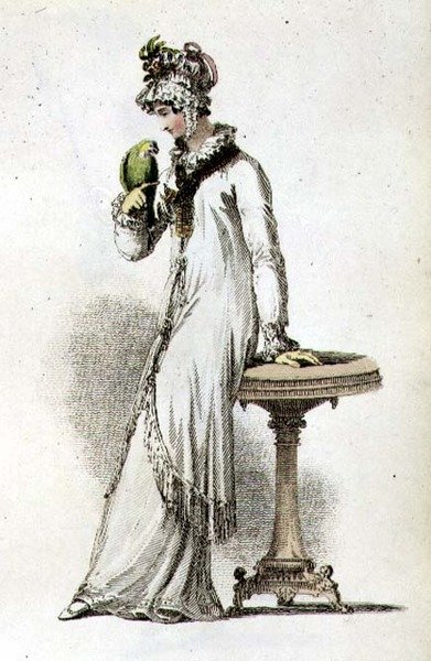 Morning Dress, Fashion Plate from Ackermann