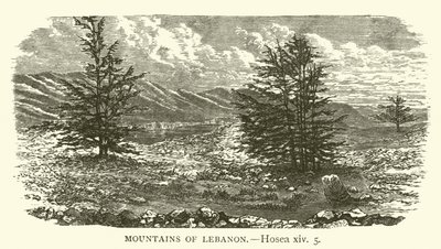 Mountains of Lebanon, Hosea, xiv, 5 by English School