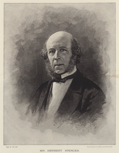 Mr Herbert Spencer by English School