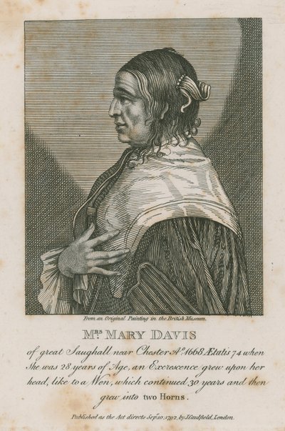 Mrs Mary Davis of Great Saughall near Chester, 1668 by English School
