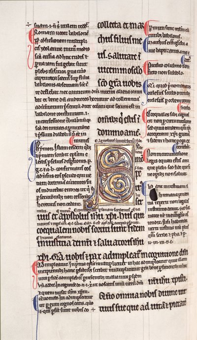 Page from a glossed copy of the New Testament by English School