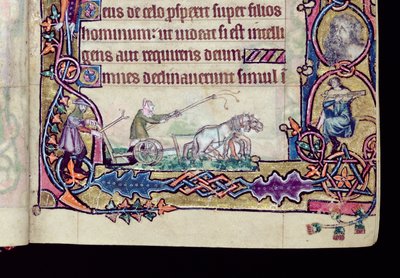 Ms 1-2005, ff.76v-77r: David and the fool, historiated initial from the Macclesfield Psalter, Use of Sarum, East Anglia, c.1330 (detail) by English School