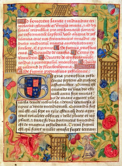 Page from a Collection of Plague Tracts in Latin and English, c.1500 by English School