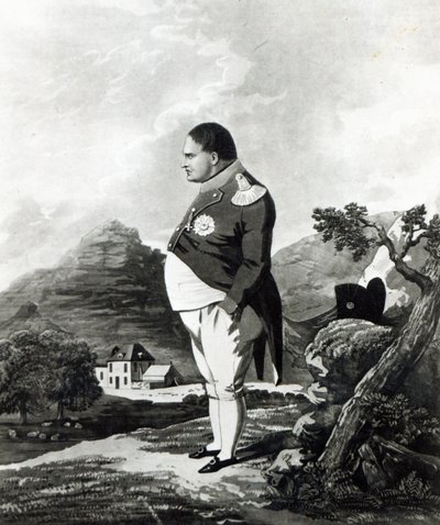 Napoleon on the Island of St. Helena by English School