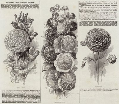 National Floricultural Society by English School