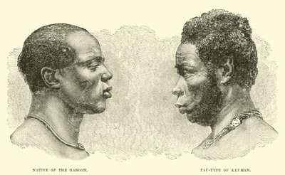 Native of the Gaboon; Tau-type of Kruman by English School