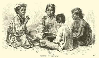 Natives of Hawaii by English School
