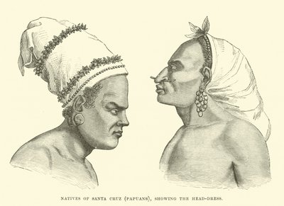 Natives of Santa Cruz, Papuans, Showing the Head-Dress by English School