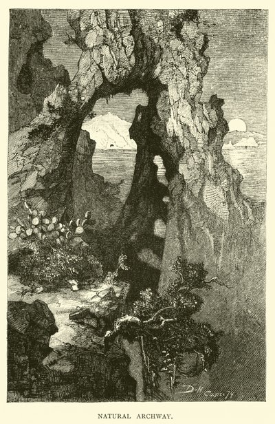 Natural Archway by English School
