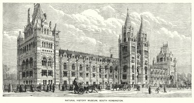 Natural History Museum, South Kensington by English School