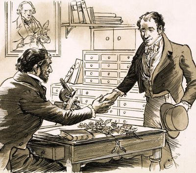 Naturalist David Douglas got his chance when he was chosen by the Horticultural Society by English School