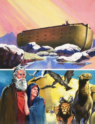 Noah