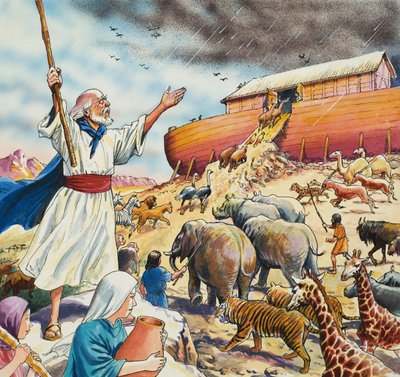 Noah