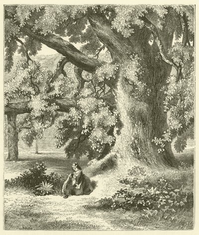 Old Walnut Tree at Mentmore by English School