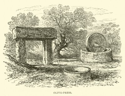 Olive-Press by English School