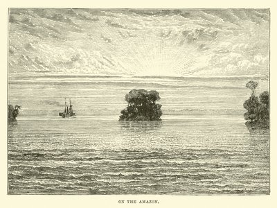 On the Amazon by English School