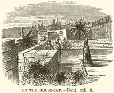 On the House-Top, Deut, xxii, 8 by English School