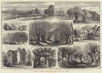 Opening of Epping Forest by the Queen, Views in the Forest by English School