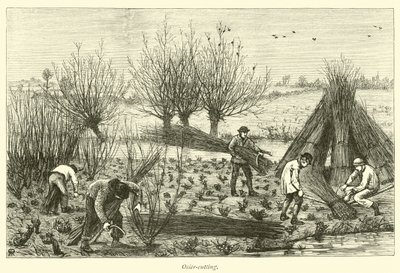 Osier-cutting by English School