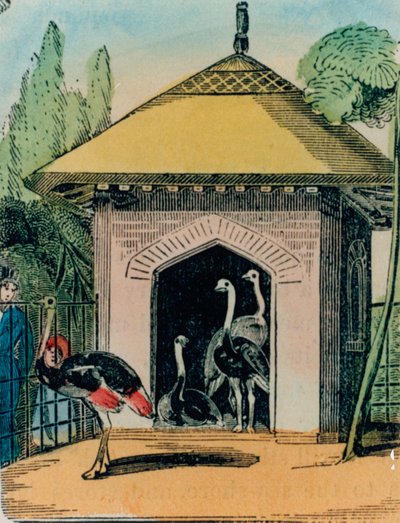 Ostrich and emu house at the London zoo. 1840s by English School