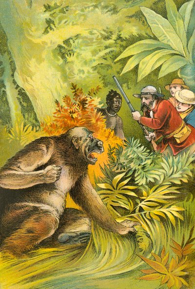 Our first gorilla by English School