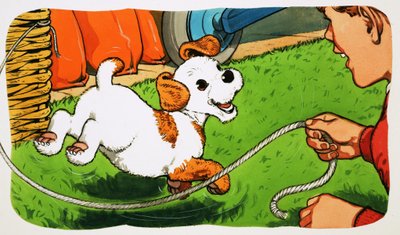 Paddy Paws by English School