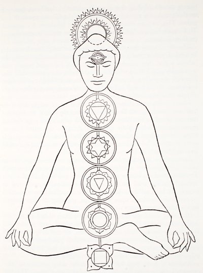 Padmasana or Lotus Position by English School