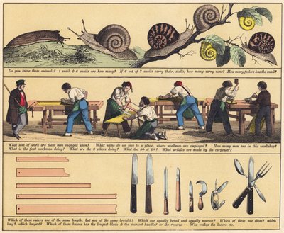 Page from The New Picture Book by English School